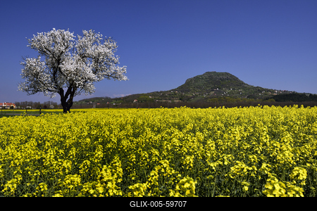 Balaton-felvidék-stock-foto