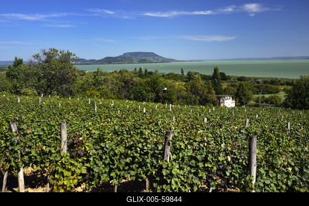 Balaton-stock-foto