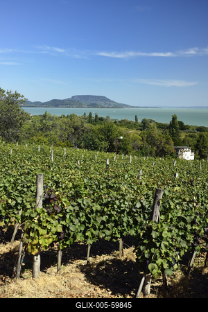 Balaton-stock-foto