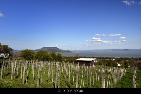Balaton-stock-foto