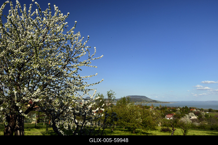 Balaton-stock-foto