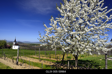 Balatonlelle-stock-foto