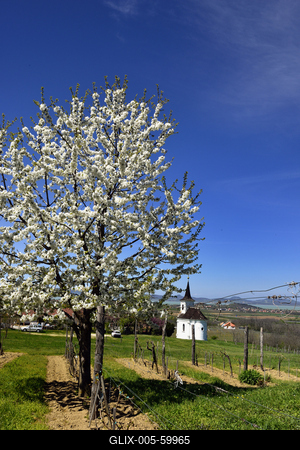Balatonlelle-stock-foto
