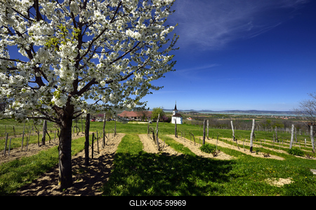Balatonlelle-stock-foto