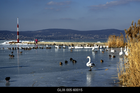 Téli Balaton-stock-foto