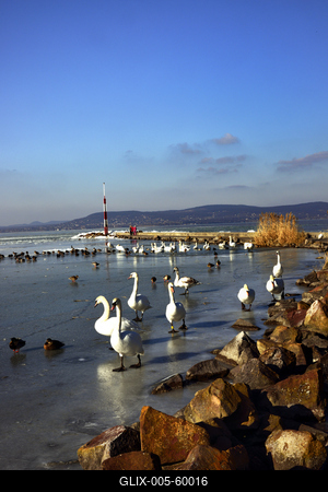 Téli Balaton-stock-foto