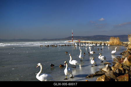 Téli Balaton-stock-foto