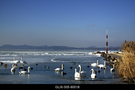 Téli Balaton-stock-foto
