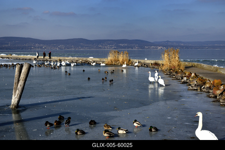 Téli Balaton-stock-foto