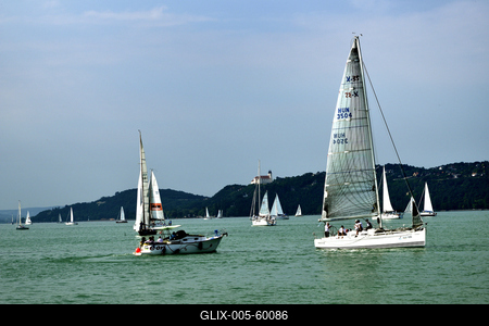 Kékszalag Vitorlás Verseny 2015-stock-foto