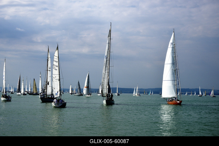 Kékszalag Vitorlás Verseny 2015-stock-foto