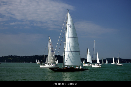 Kékszalag Vitorlás Verseny 2015-stock-foto