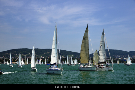 Kékszalag Vitorlás Verseny 2015-stock-foto