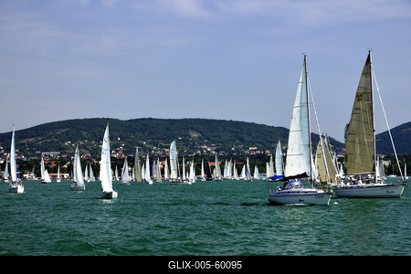 Kékszalag Vitorlás Verseny 2015-stock-foto