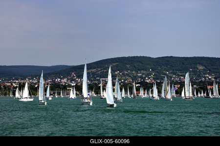 Kékszalag Vitorlás Verseny 2015-stock-foto