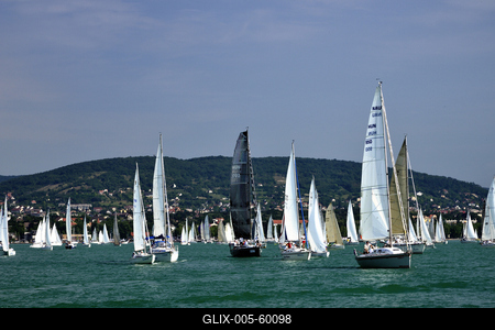 Kékszalag Vitorlás Verseny 2015-stock-foto