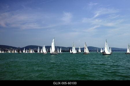 Kékszalag Vitorlás Verseny 2015-stock-foto