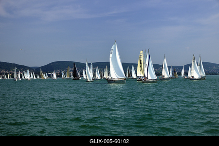 Kékszalag Vitorlás Verseny 2015-stock-foto