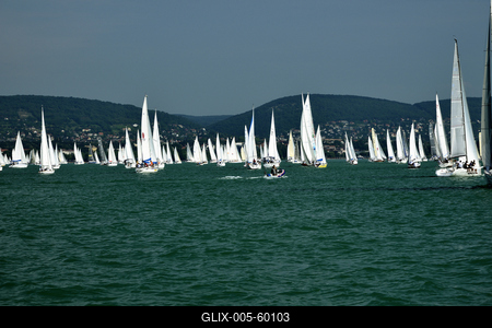 Kékszalag Vitorlás Verseny 2015-stock-foto