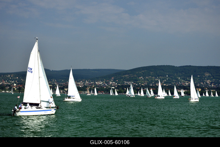 Kékszalag Vitorlás Verseny 2015-stock-foto