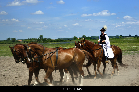 Bugac puszta-stock-foto