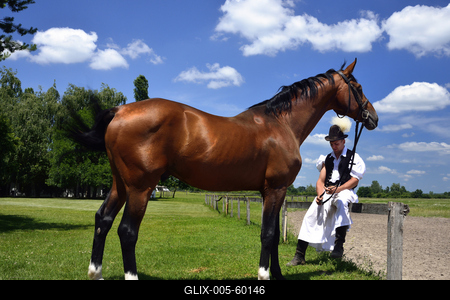 Bugac puszta-stock-foto