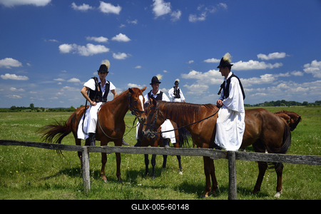 Bugac puszta-stock-foto