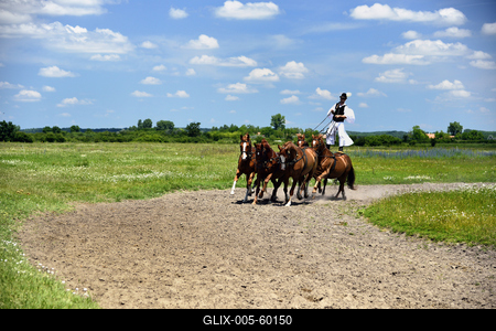 Bugac puszta-stock-foto