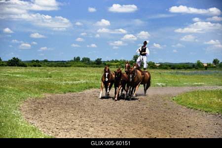 Bugac puszta-stock-foto