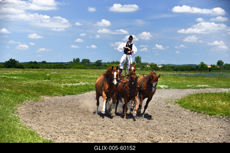 Bugac puszta-stock-foto