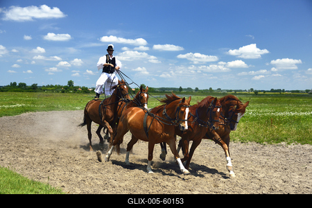 Bugac puszta-stock-foto