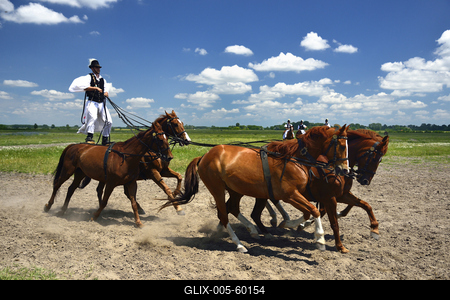 Bugac puszta-stock-foto