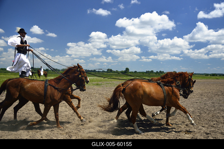 Bugac puszta-stock-foto