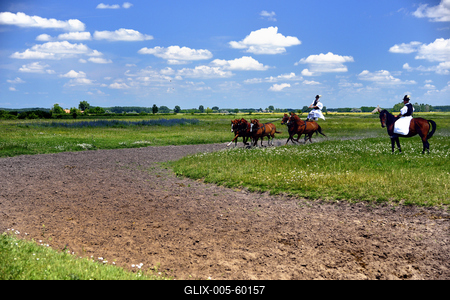 Bugac puszta-stock-foto