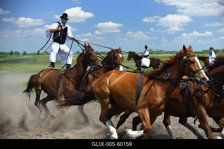 Bugac puszta-stock-foto