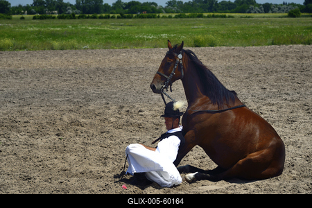 Bugac puszta-stock-foto