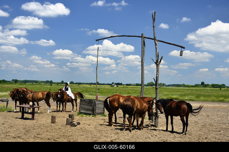 Bugac puszta-stock-foto