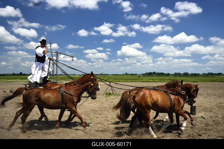 Bugac puszta-stock-foto