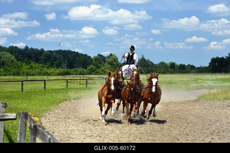 Bugac puszta-stock-foto