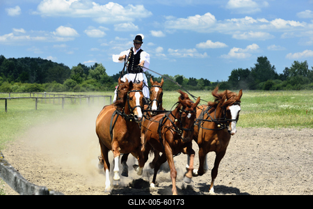 Bugac puszta-stock-foto