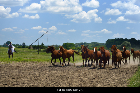 Bugac puszta-stock-foto