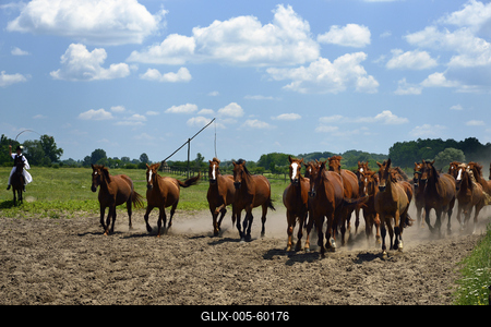 Bugac puszta-stock-foto