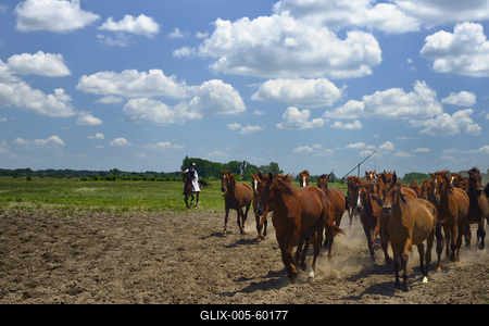Bugac puszta-stock-foto