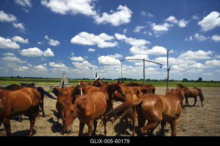 Bugac puszta-stock-foto