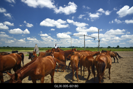 Bugac puszta-stock-foto
