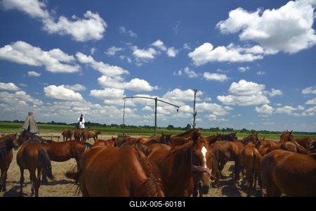 Bugac puszta-stock-foto