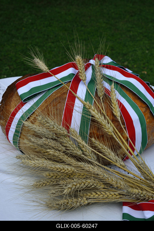 Új kenyér augusztusban.-stock-foto