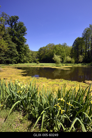 Budafapusztai Arborétum-stock-foto