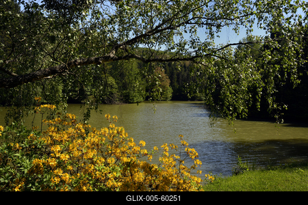 Budafapusztai Arborétum-stock-foto