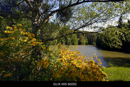 Budafapusztai Arborétum-stock-foto
